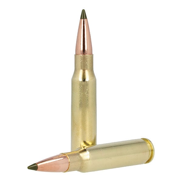 308 Winchester cartridge