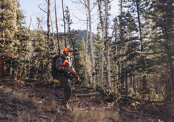 Best Caliber For Elk Hunting: Top caliber, Gear, Ammo, & Seasoned Tips 
