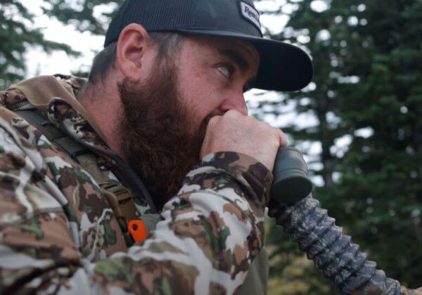 Elk Hunting 101