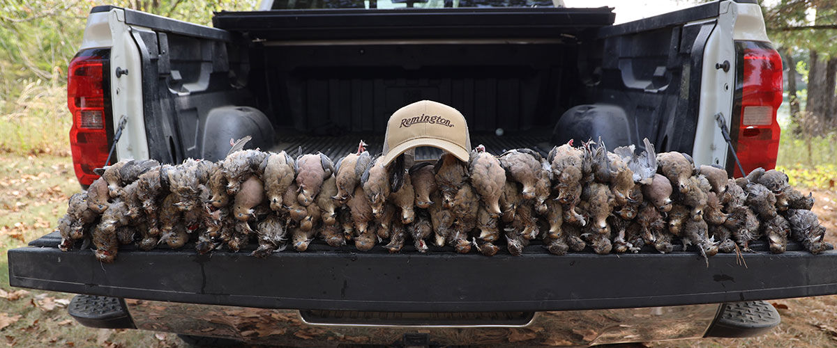dead doves on a tailgate with a Remington hat