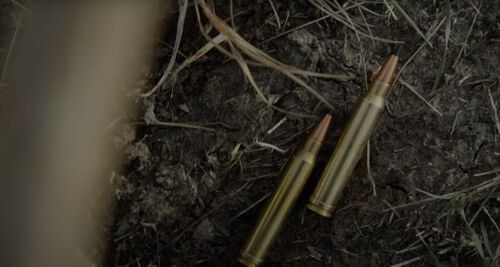 Rifle Cartridges laying on the ground