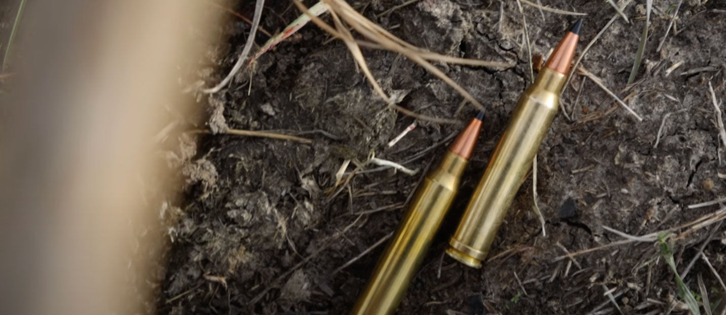 Remington Premier Scirocco cartridges laying on the ground