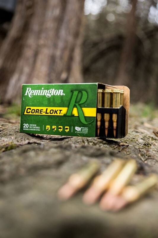 Core-Lokt, 45-70 Government, 405 Grain, Core-Lokt Soft Point, 1600 fps