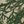 Remington Realtree Trucker